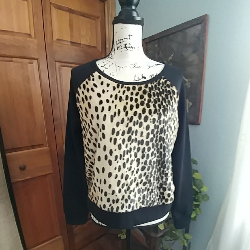 Express sweatshirt